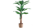 Bananero Artificial 180 cm Alto