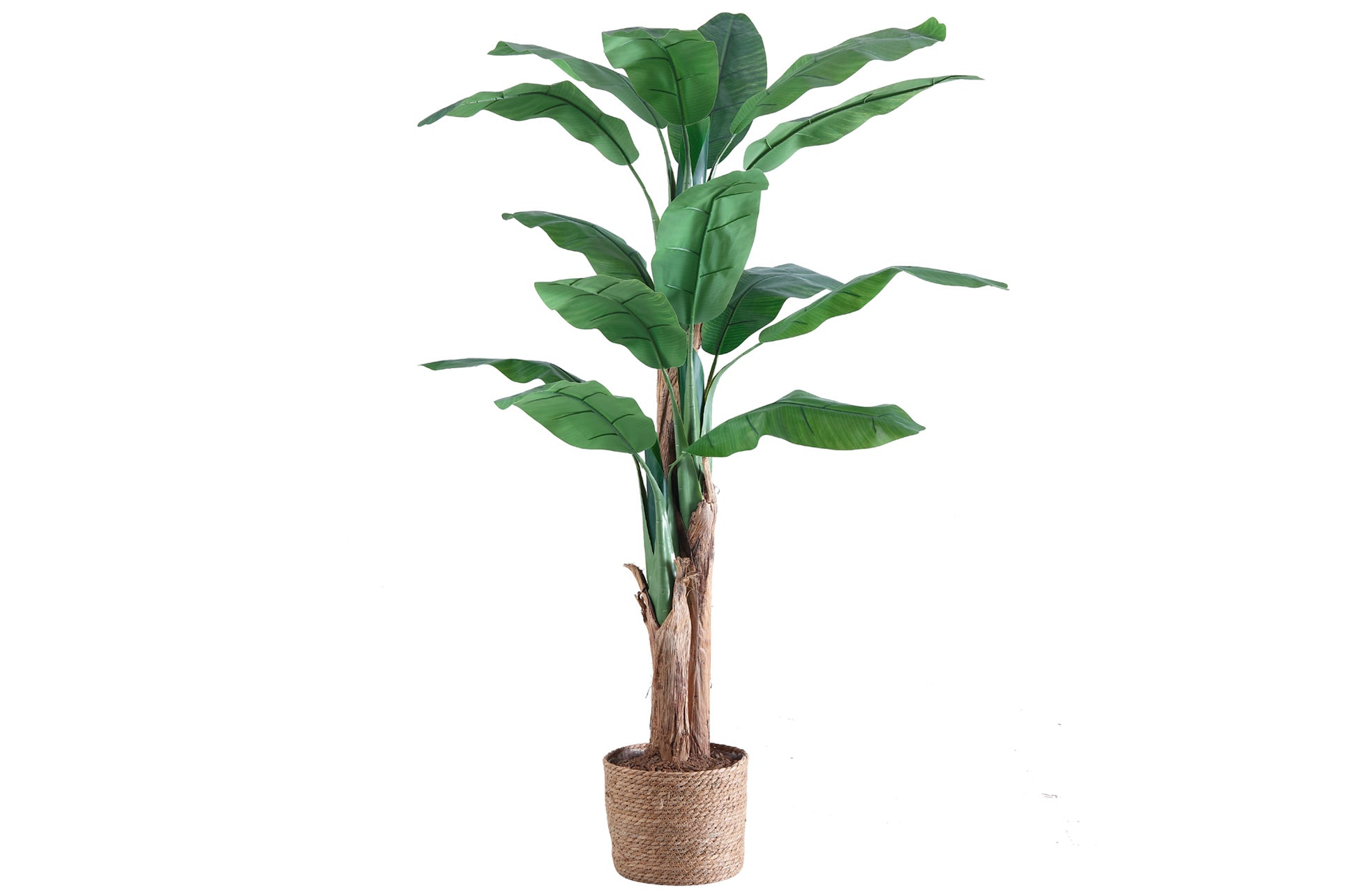 Bananero Artificial 180 cm Alto