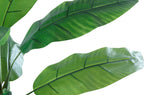 Bananero Artificial 180 cm Alto - imagen 4