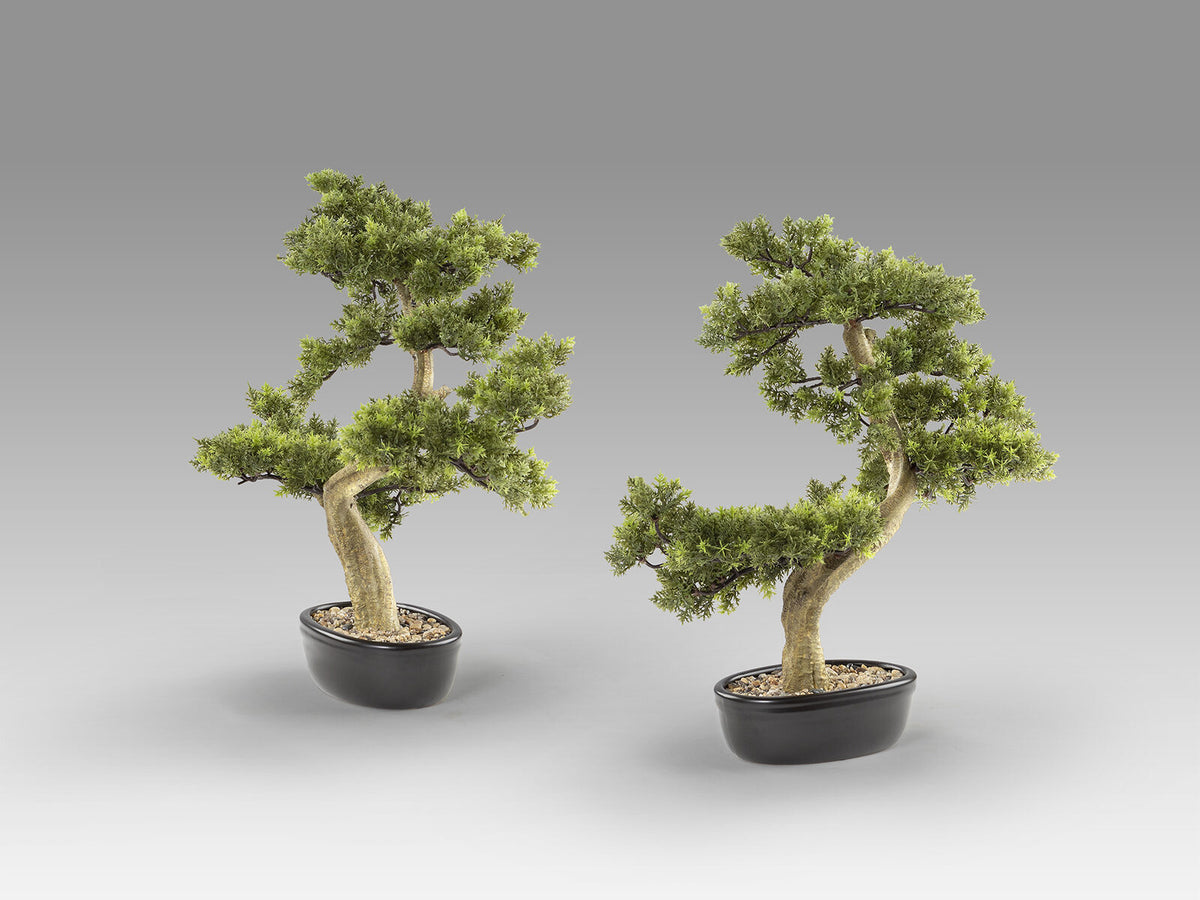 Set de 2 bonsáis artificiales Bankan 75 cm