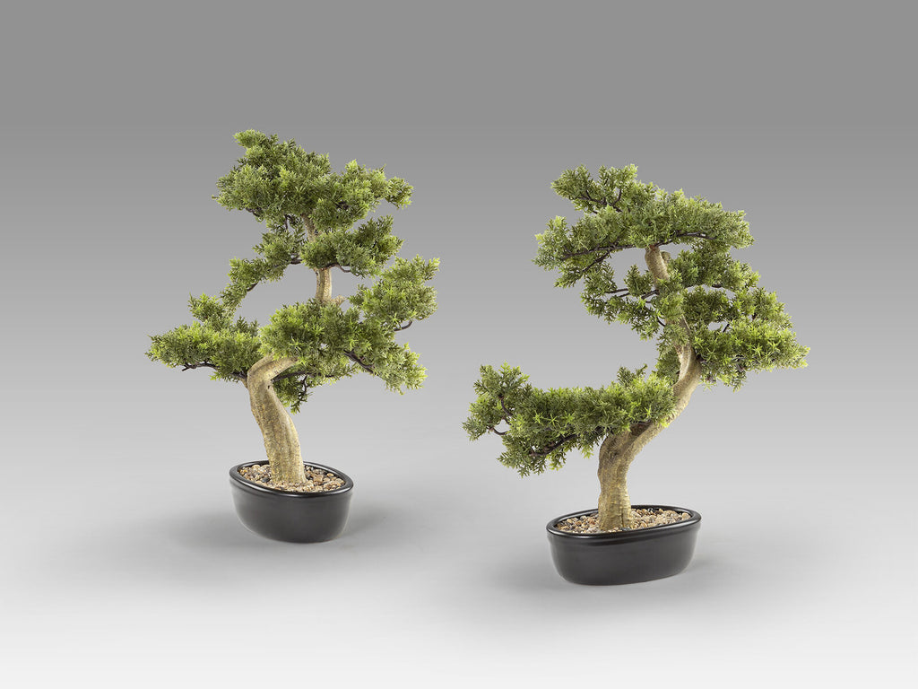 Set de 2 bonsáis artificiales Bankan 75 cm