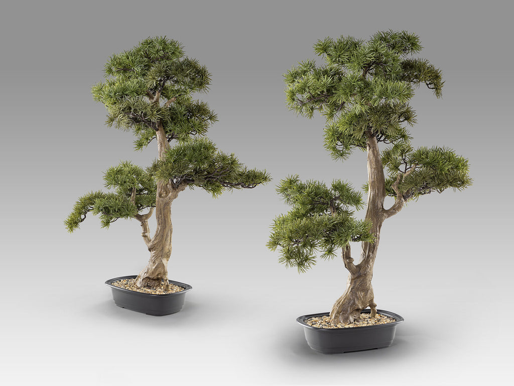 Set de 2 bonsáis artificiales Chokkan 83 cm