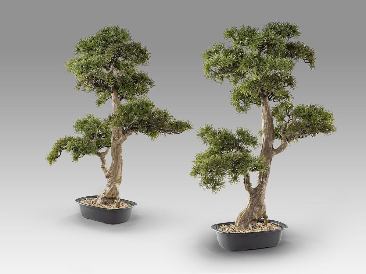 Set de 2 bonsáis artificiales Chokkan 83 cm
