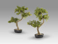 Set de 2 bonsáis artificiales Bankan II 49 cm