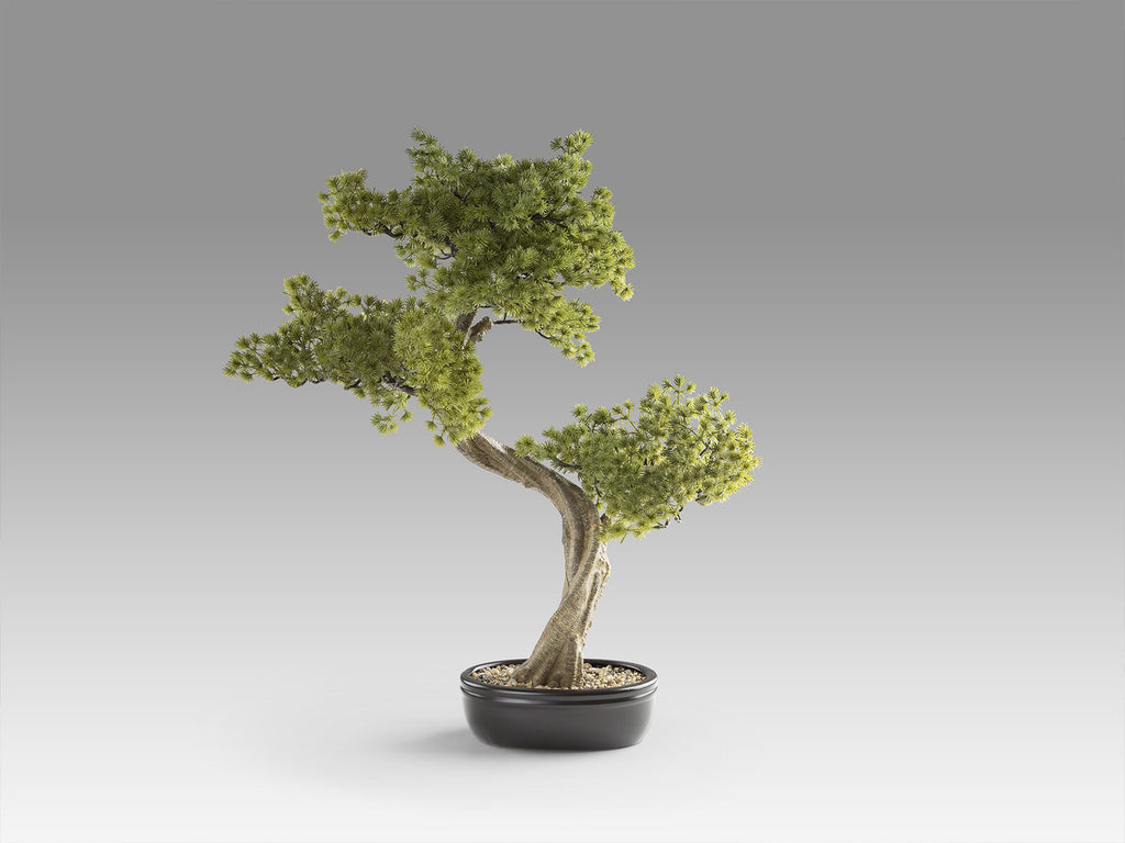 Set de 2 bonsáis artificiales Bankan II 49 cm
