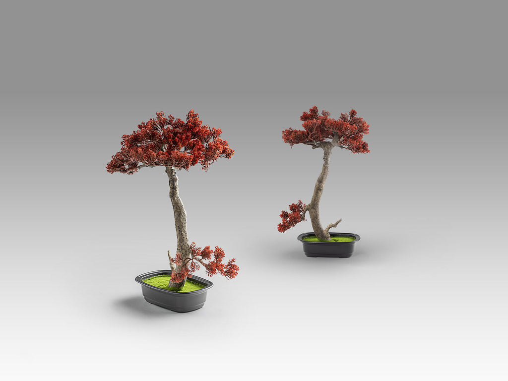 Set de 2 bonsáis artificiales Bunjin-hi 45 cm