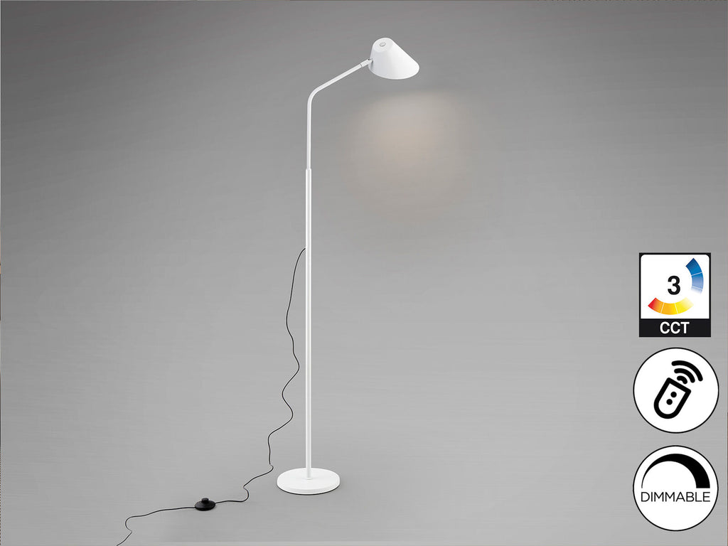 Lámpara de pie Esino 1 luz CCT