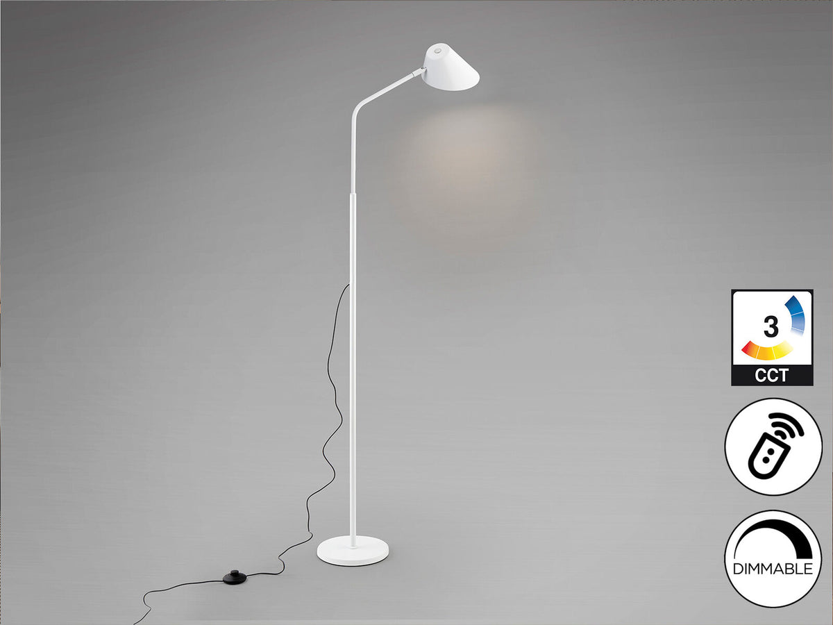 Lámpara de pie Esino 1 luz CCT