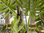 Planta artificial Monstera 210 cm