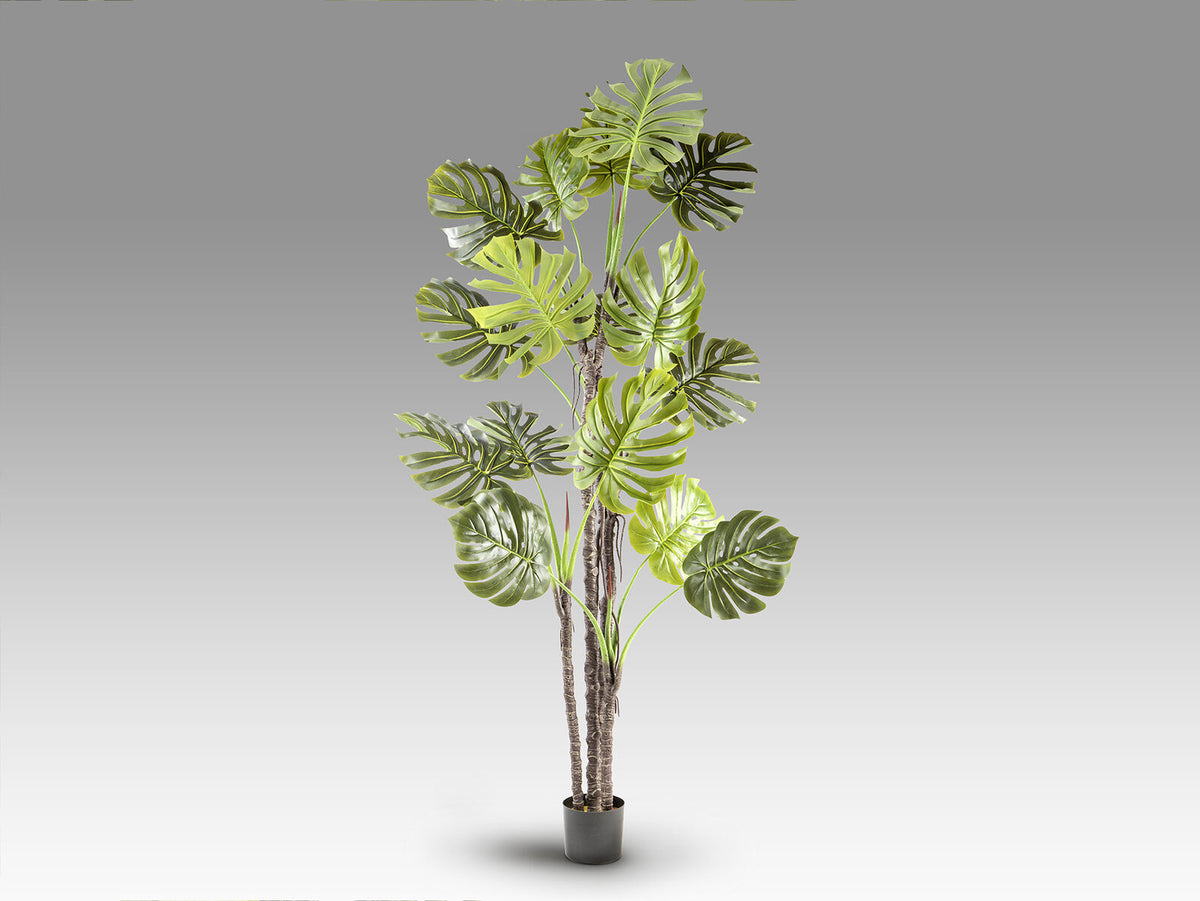 Planta artificial Monstera 210 cm