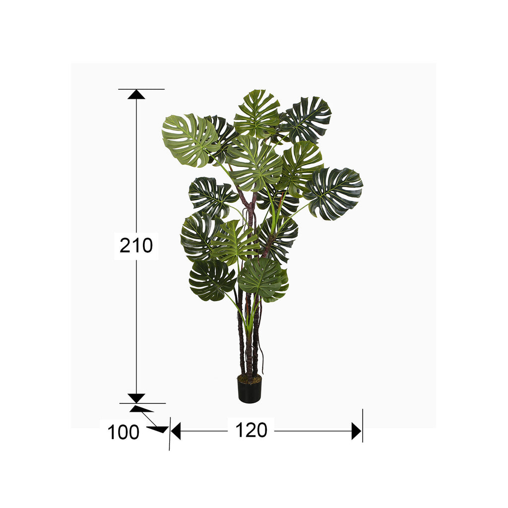 Planta artificial Monstera 210 cm - medidas