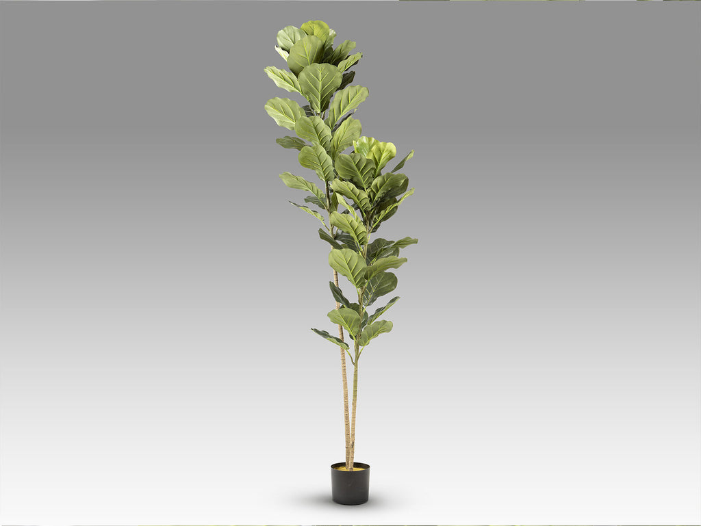 Árbol artificial Higuera de violín 200 cm