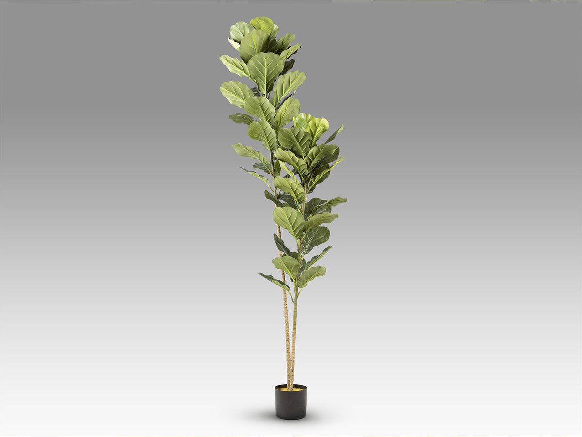 Árbol artificial Higuera de violín 200 cm