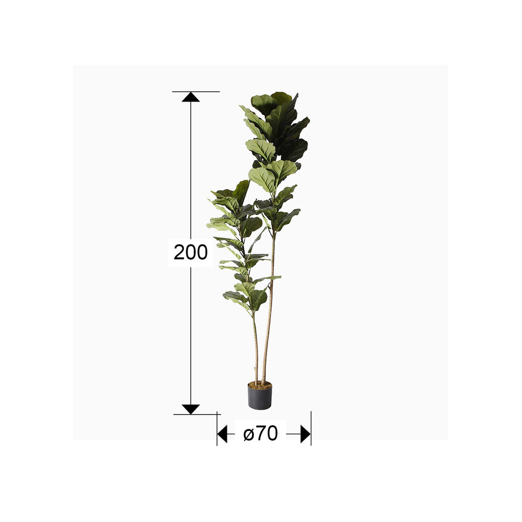 Árbol artificial Higuera de violín 200 cm - medidas