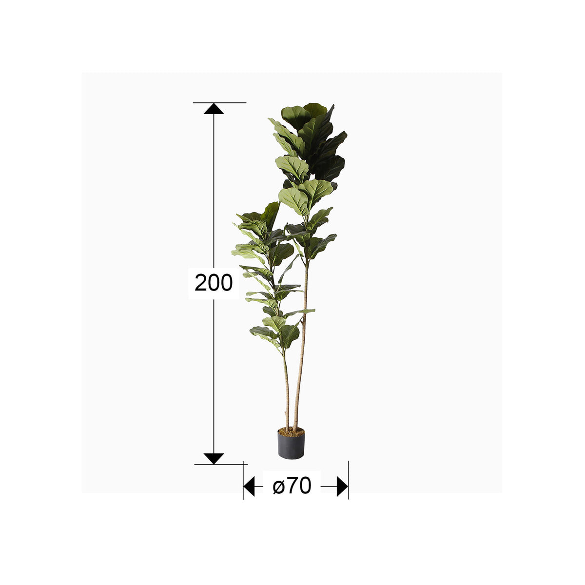Árbol artificial Higuera de violín 200 cm - medidas