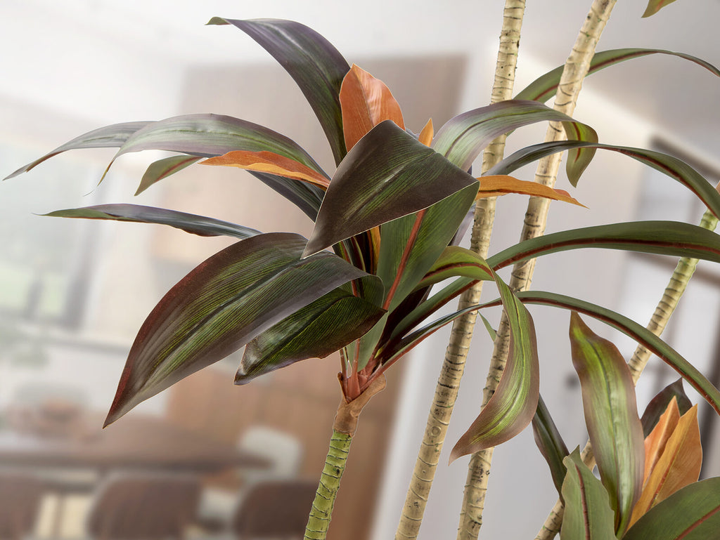 Planta artificial Dracena roja 220 cm