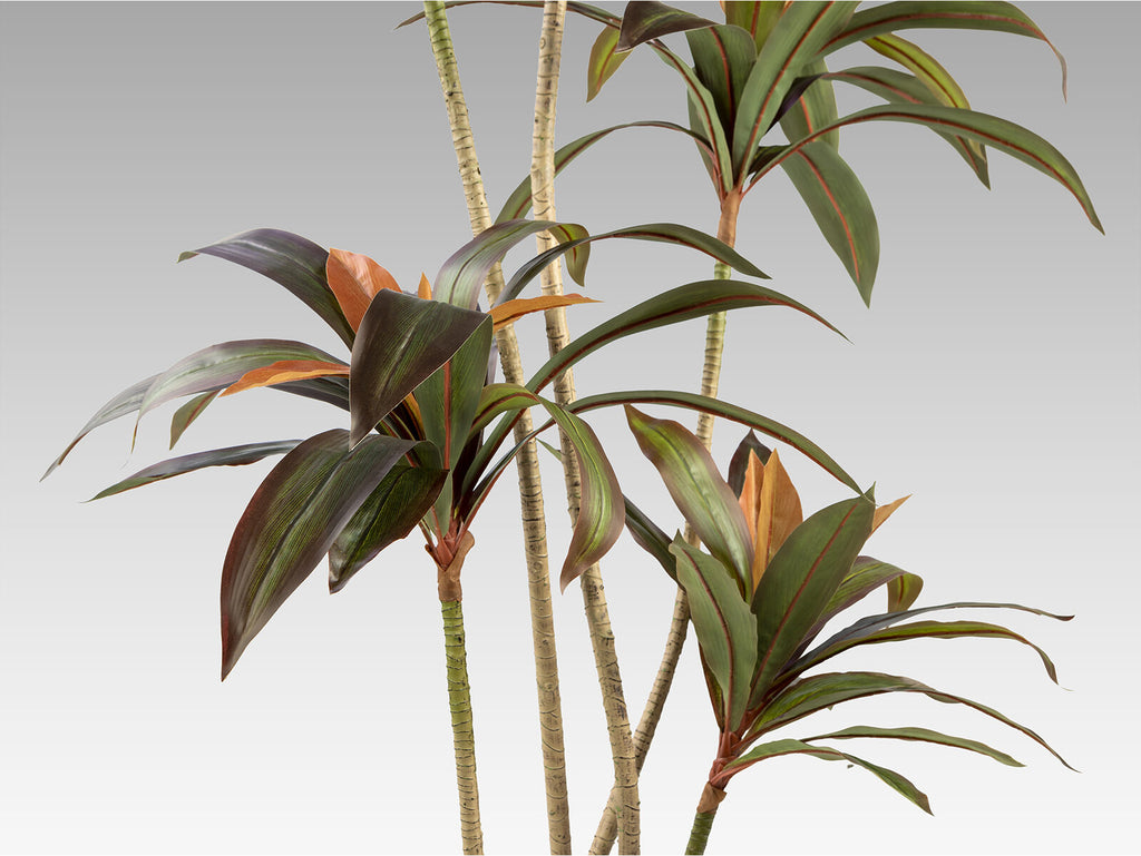 Planta artificial Dracena roja 220 cm