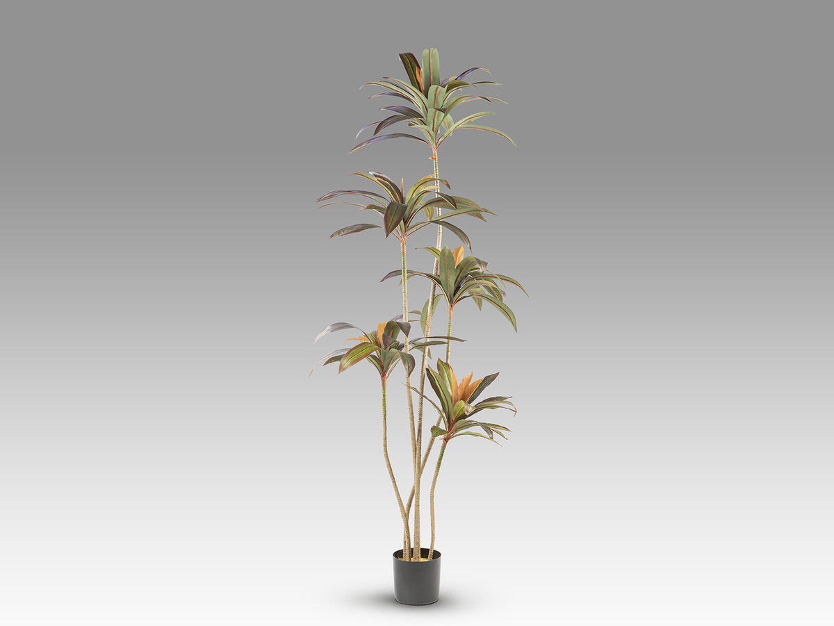 Planta artificial Dracena roja 220 cm