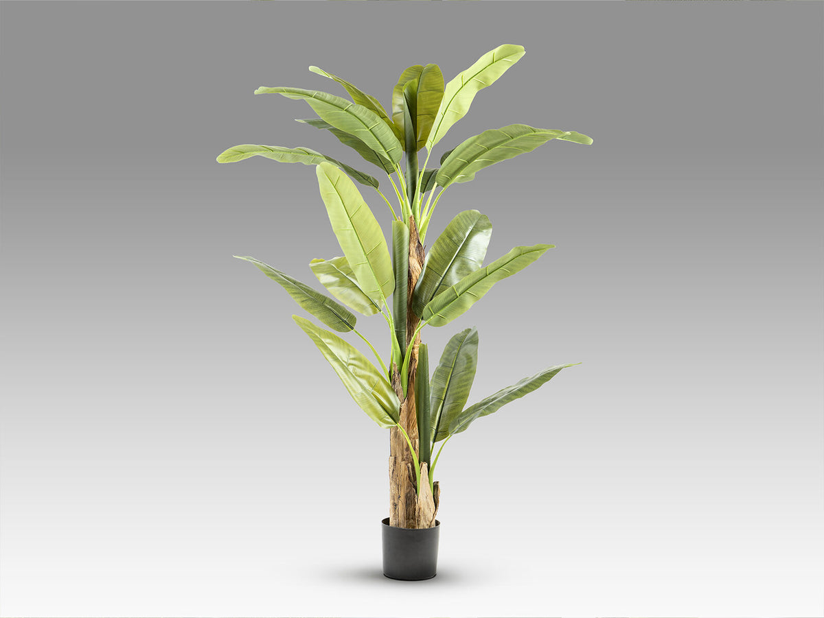 Planta artificial Platanera 180 cm