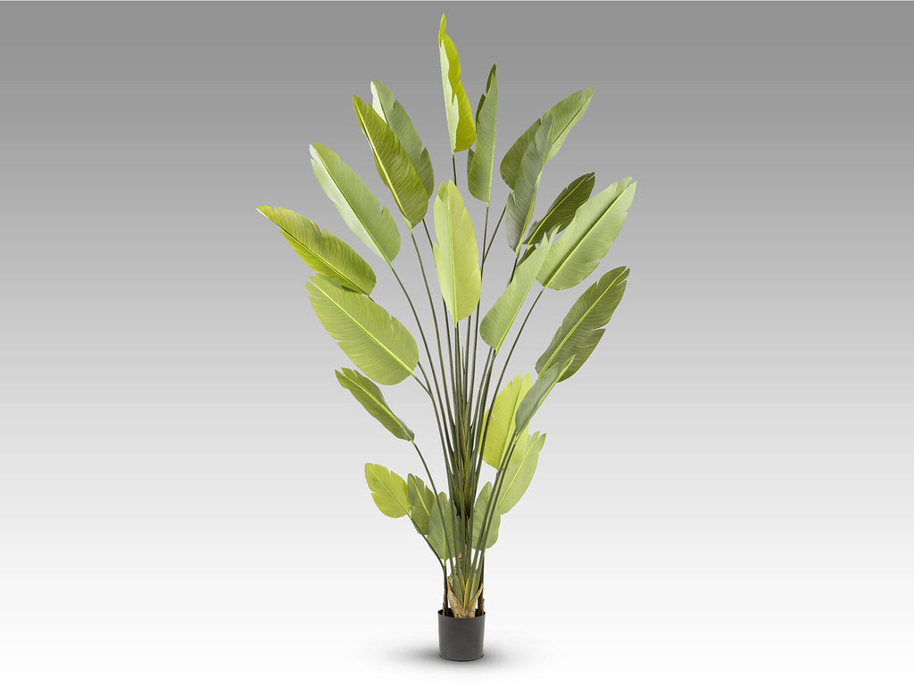 Planta artificial Ave del paraíso 250 cm