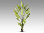 Planta artificial Ave del paraíso 250 cm