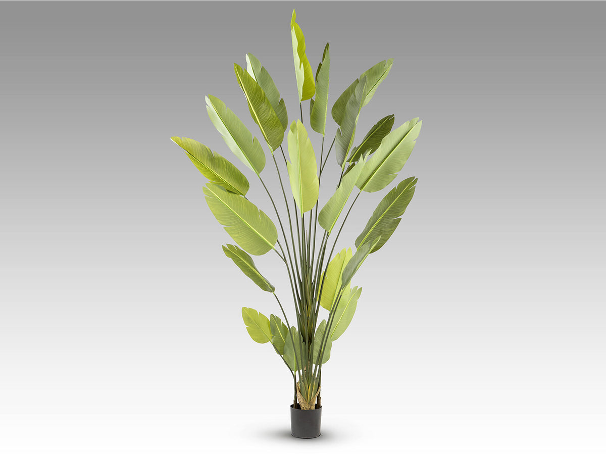 Planta artificial Ave del paraíso 250 cm