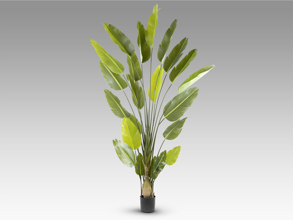 Planta artificial Ave del paraíso 250 cm