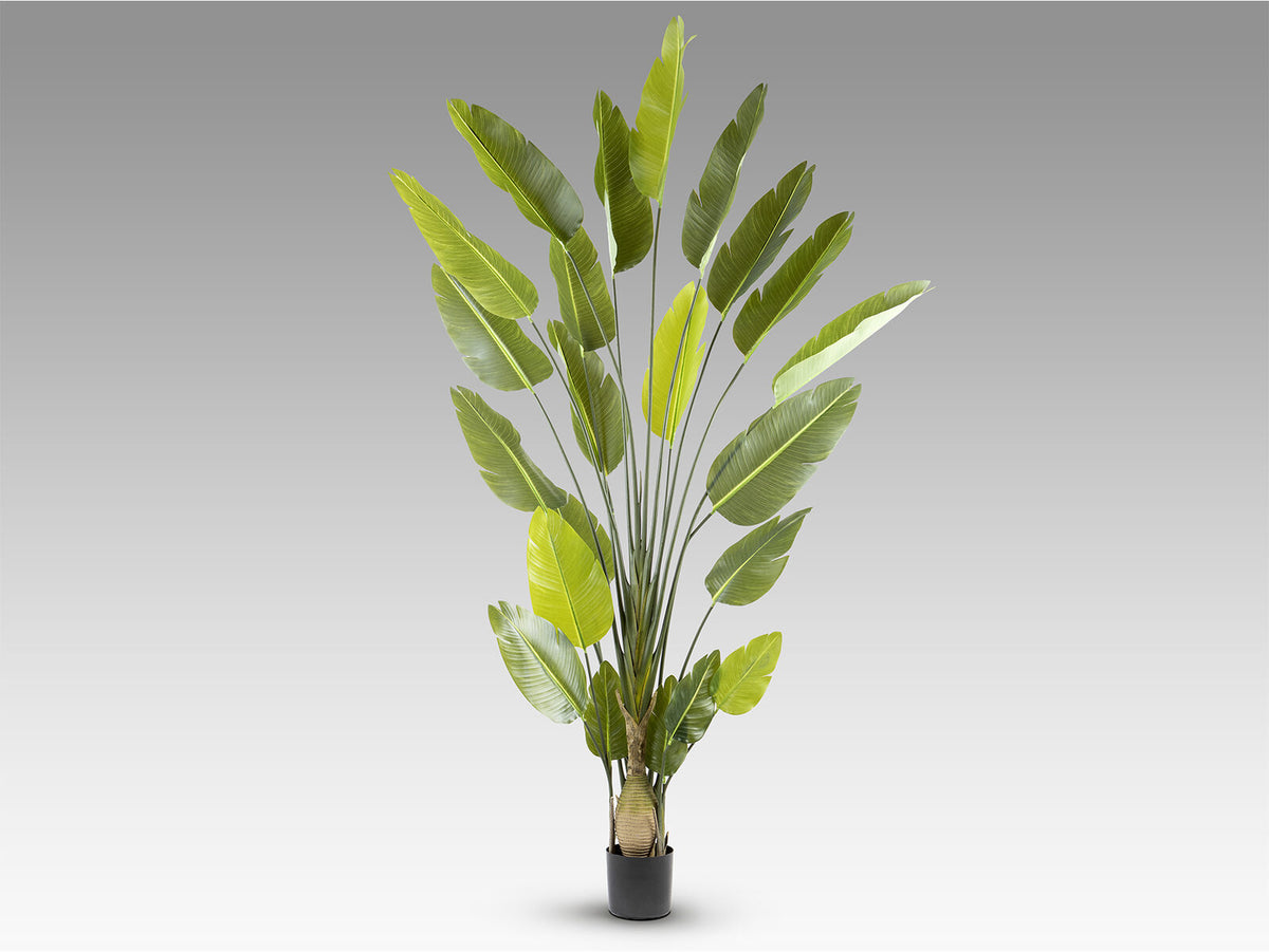 Planta artificial Ave del paraíso 250 cm