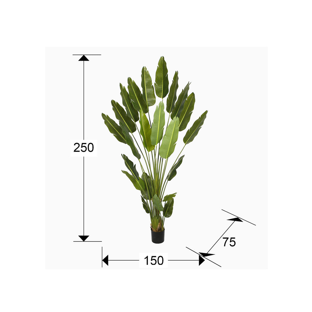 Planta artificial Ave del paraíso 250 cm - medidas
