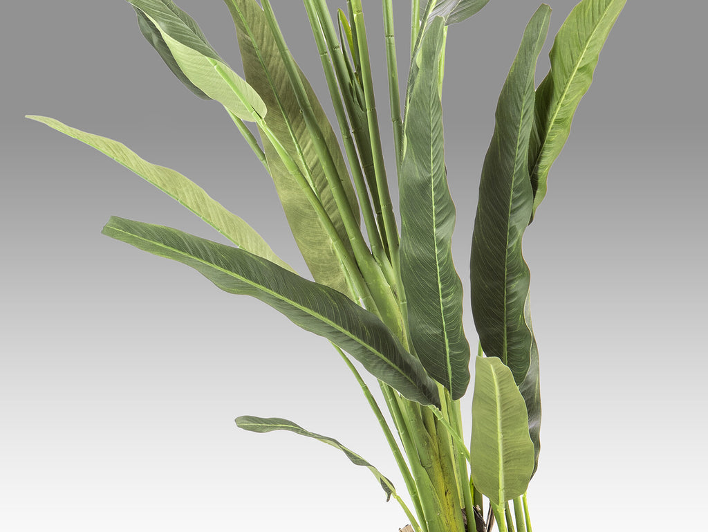 Planta artificial Palma del viajero 240 cm