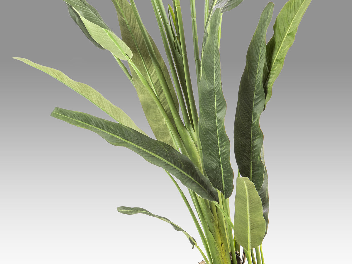 Planta artificial Palma del viajero 240 cm