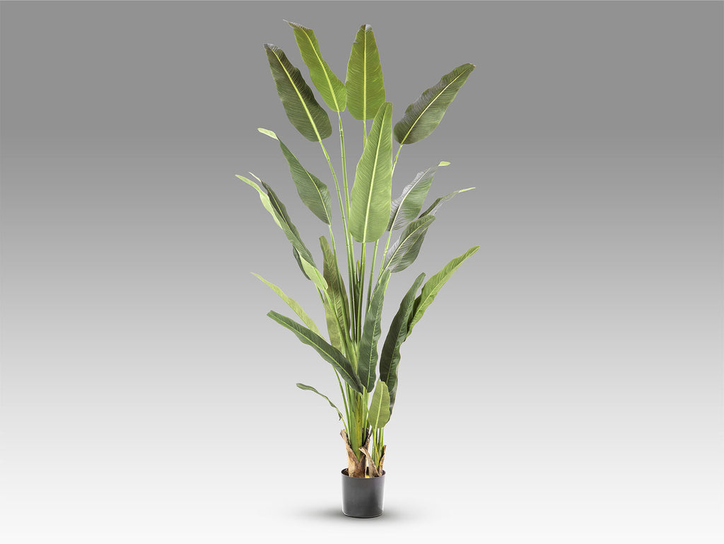 Planta artificial Palma del viajero 240 cm