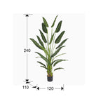 Planta artificial Palma del viajero 240 cm - medidas