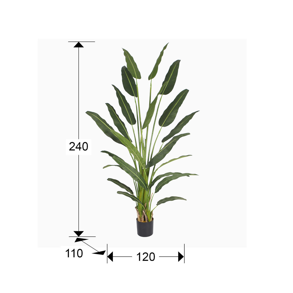 Planta artificial Palma del viajero 240 cm - medidas