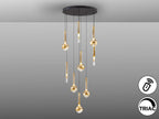 Lámpara de techo Essenza 9 luces negro y dorado