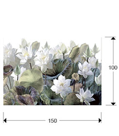 Fotografía Nenufares 150 × 100 cm - medidas
