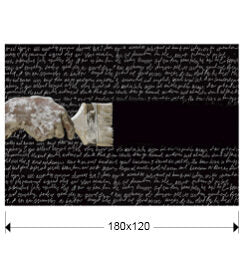 Fotografía Poesia 180 × 120 cm - medidas