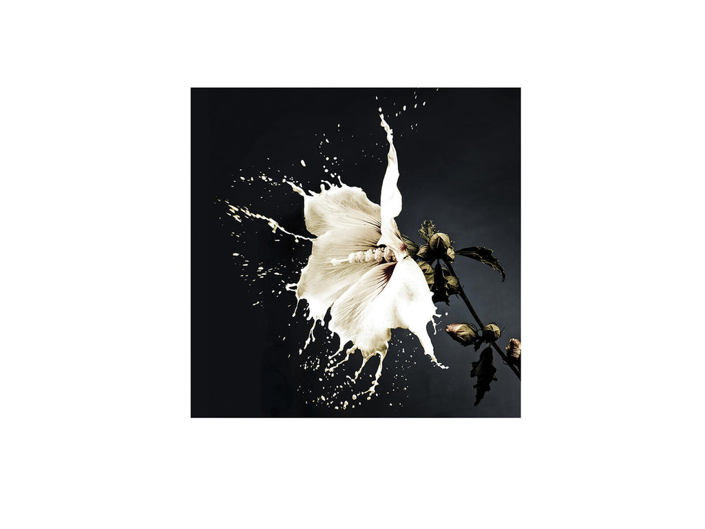 Fotografía Splash 100 × 100 cm
