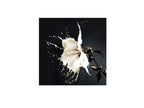 Fotografía Splash 100 × 100 cm