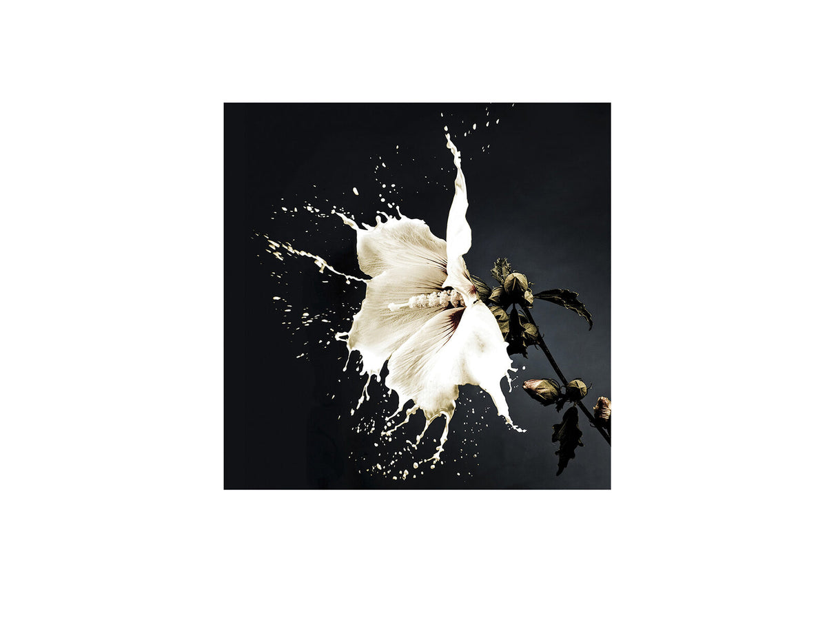 Fotografía Splash 100 × 100 cm