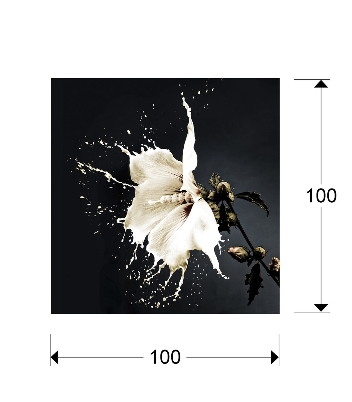 Fotografía Splash 100 × 100 cm - medidas