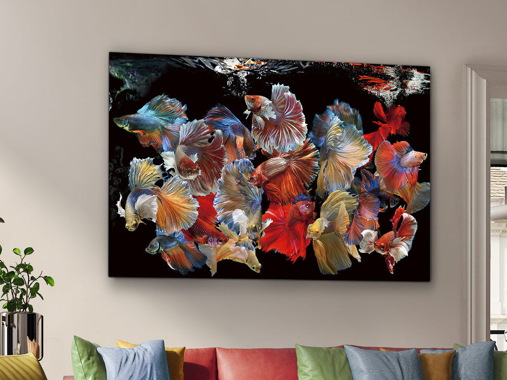 Fotografía Peces Siam 150 × 100 cm