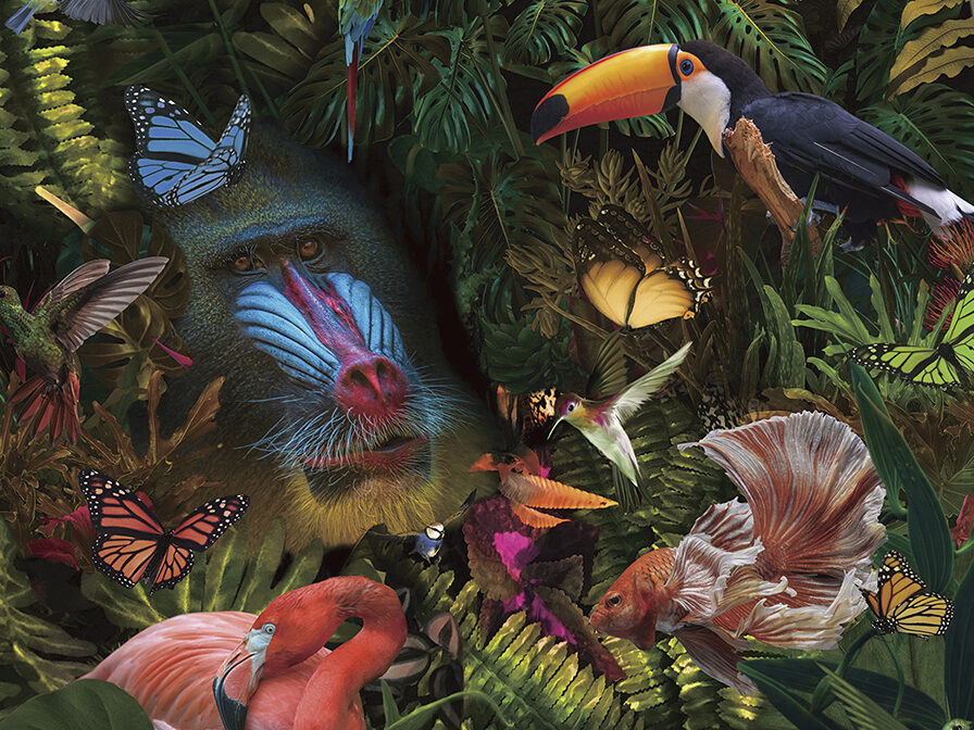 Fotografía Selvatica 100 × 100 cm