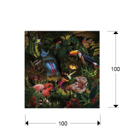 Fotografía Selvatica 100 × 100 cm - medidas
