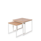 Mesa Centro Piero