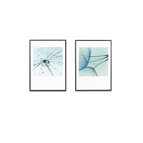 Cuadro Dandelion