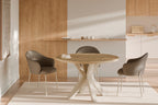 Mesa Sandy 00MS221737