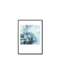 Cuadro Dandelion