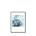 Cuadro Dandelion