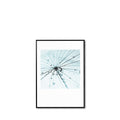 Cuadro Dandelion